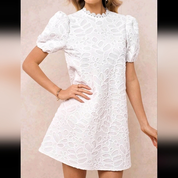 White Embroidered Fabric Stand Collar Short Sleeve A-Line Short Dress - Picture 1 of 4